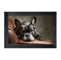 Framed Art