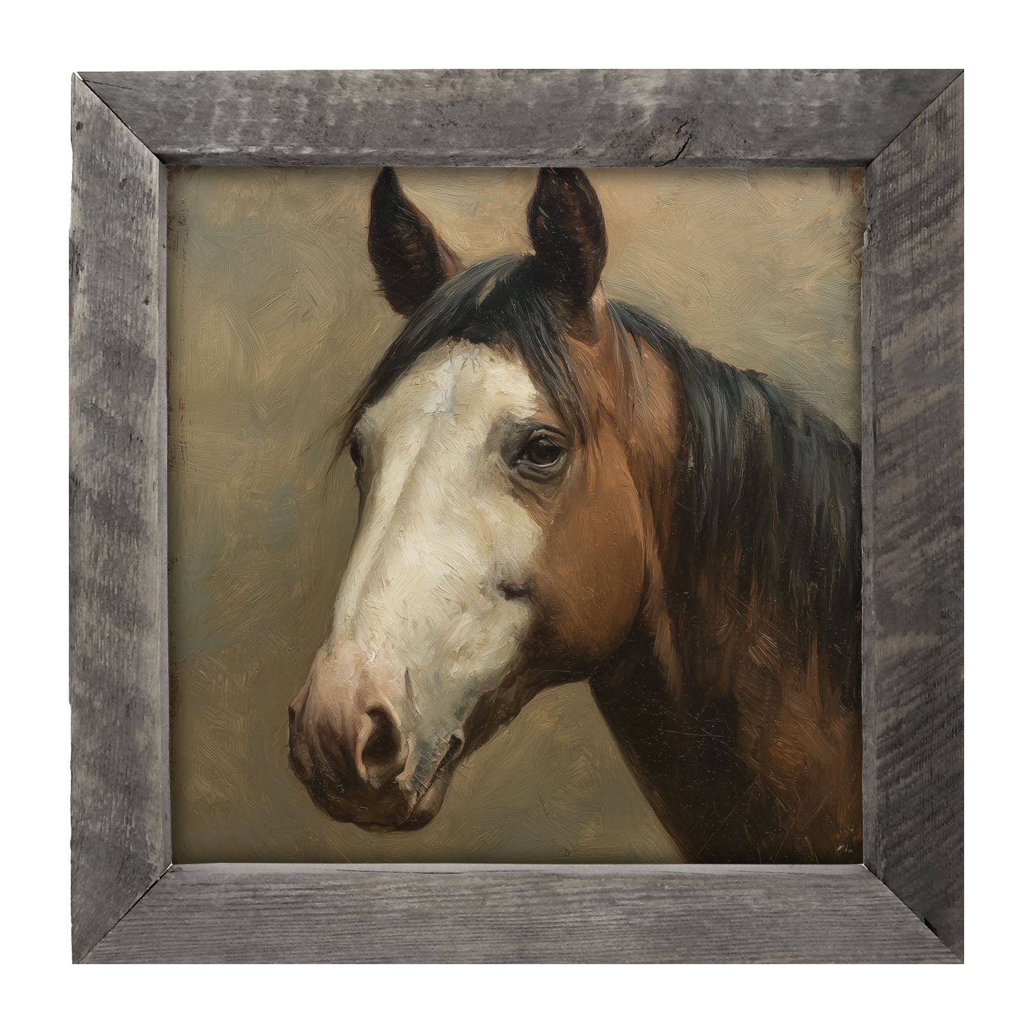 Portrait of a Brown and White Horse - Framed Art