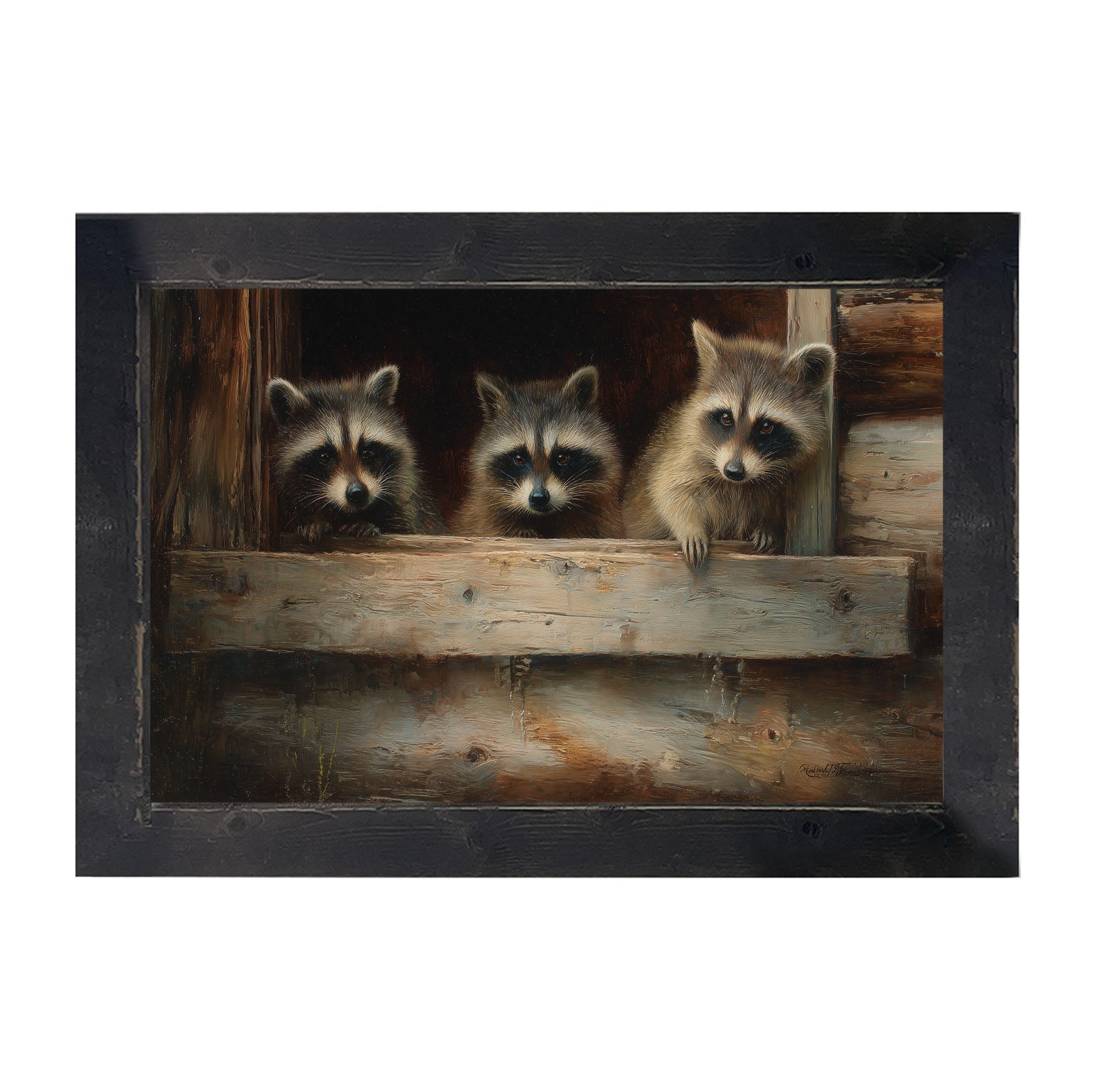 Raccoons in Barn Window - Framed Art