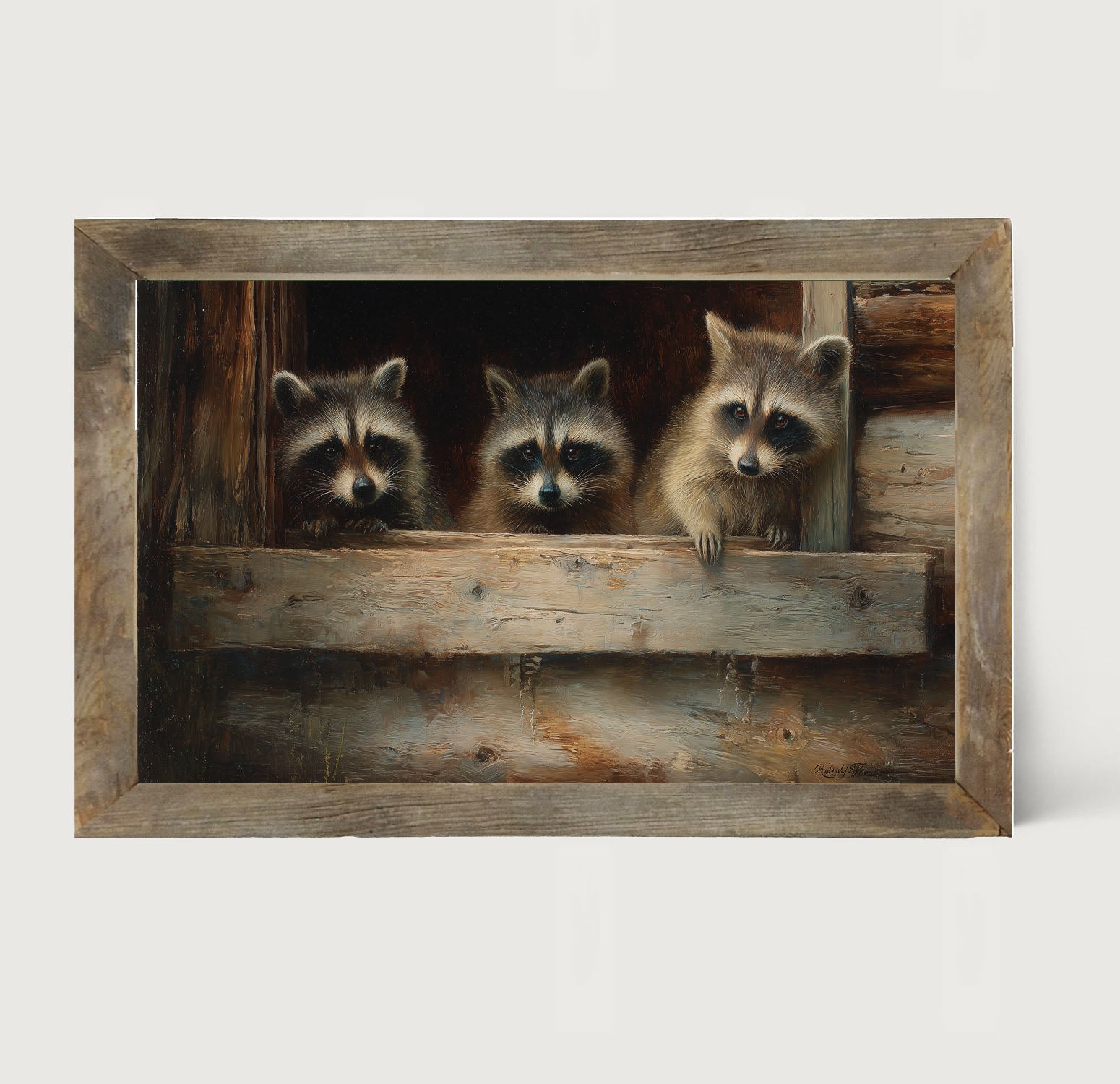 Raccoons in Barn Window - Framed Art