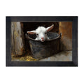 Framed Art
