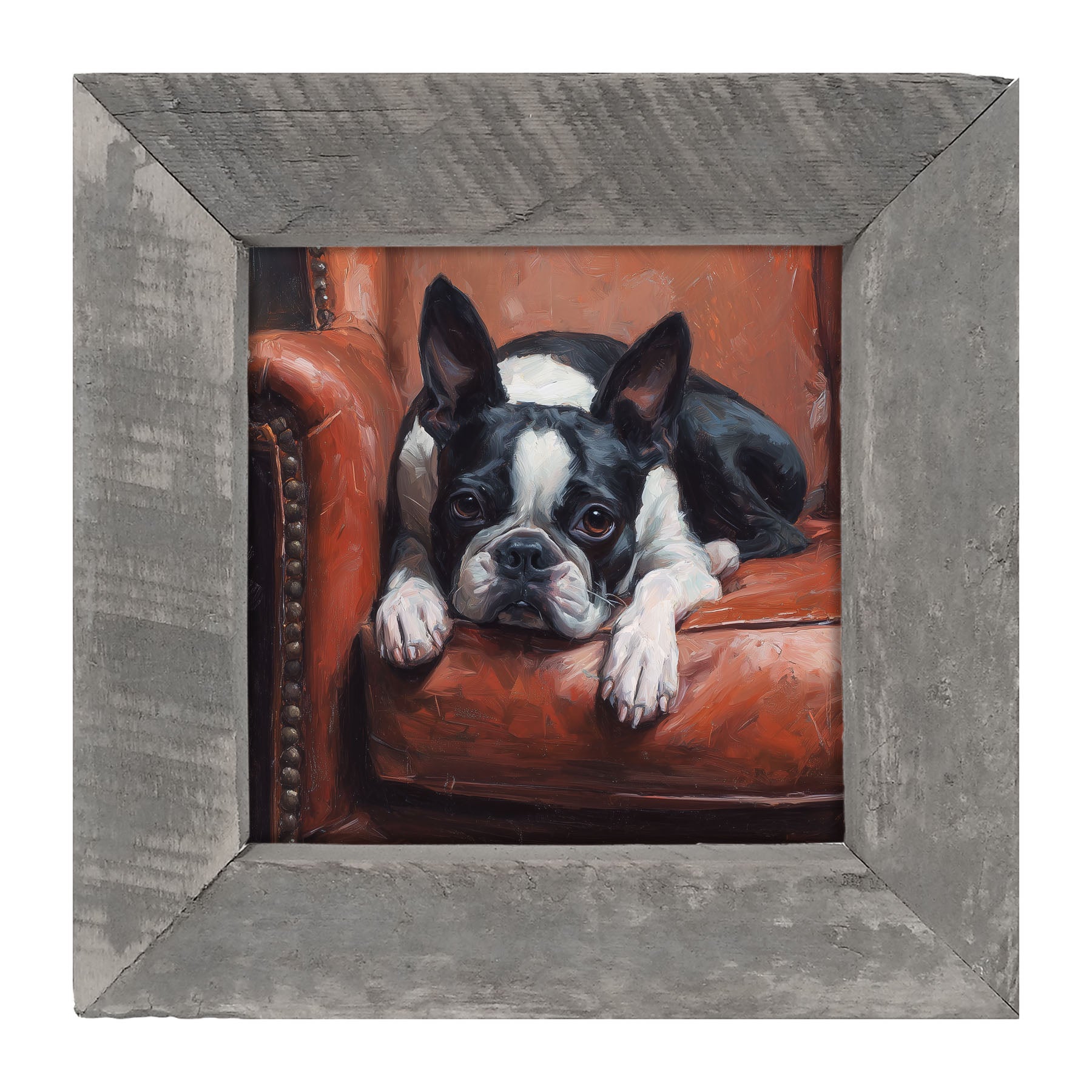 Armchair with Boston Terrier Dog - Framed Art