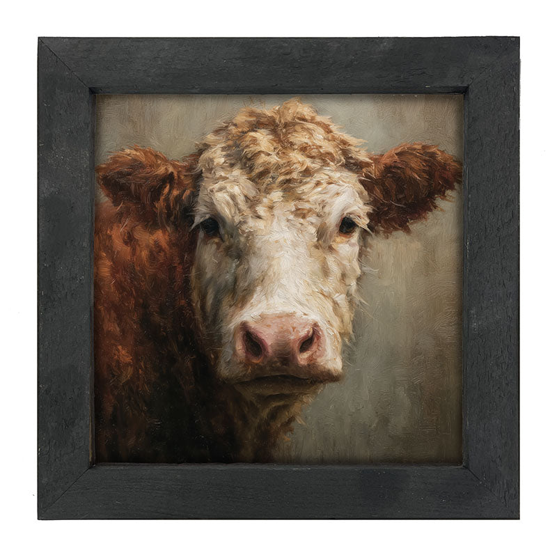 Farm Life Portrait - Brown and White Cow Close-up - Framed Art