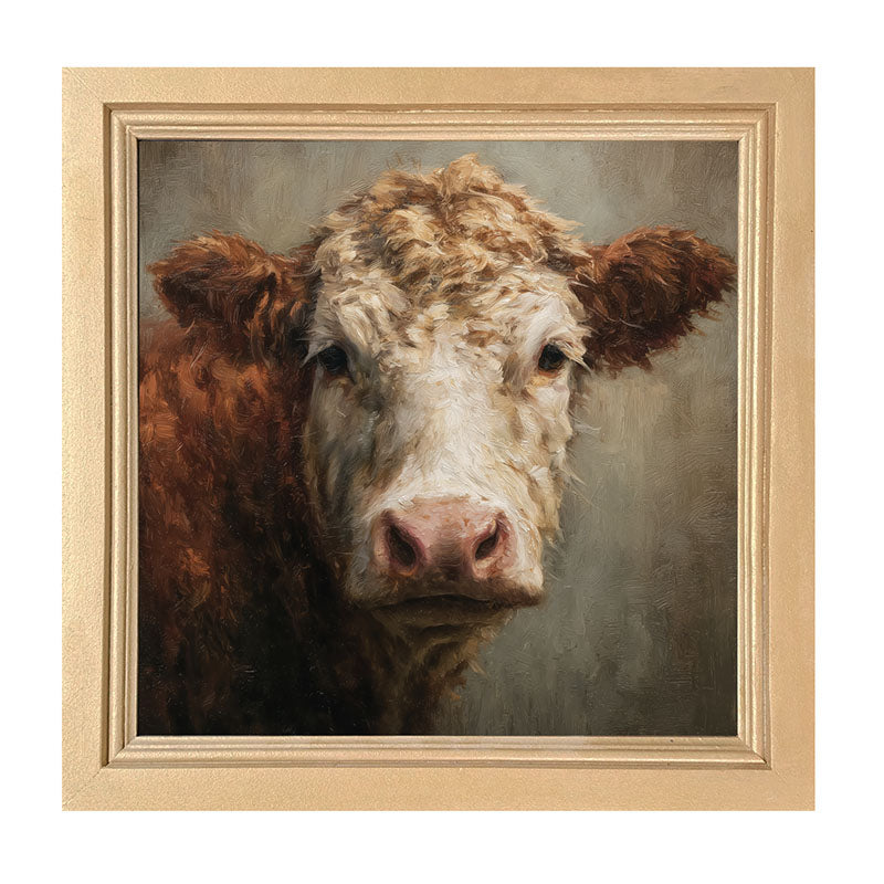 Farm Life Portrait - Brown and White Cow Close-up - Framed Art