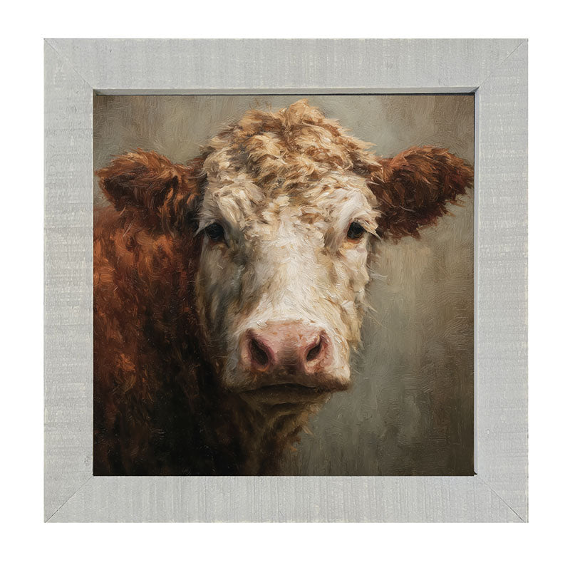 Farm Life Portrait - Brown and White Cow Close-up - Framed Art