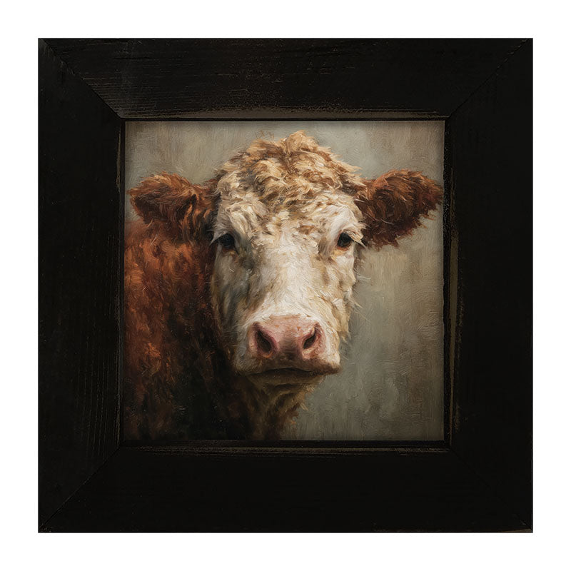 Farm Life Portrait - Brown and White Cow Close-up - Framed Art
