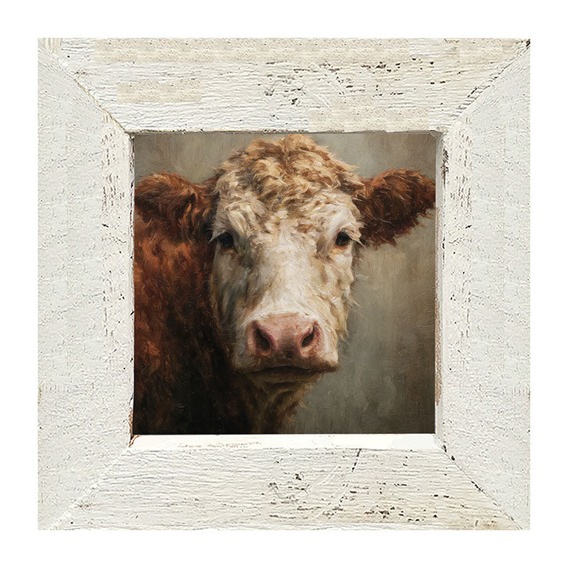 Farm Life Portrait - Brown and White Cow Close-up - Framed Art
