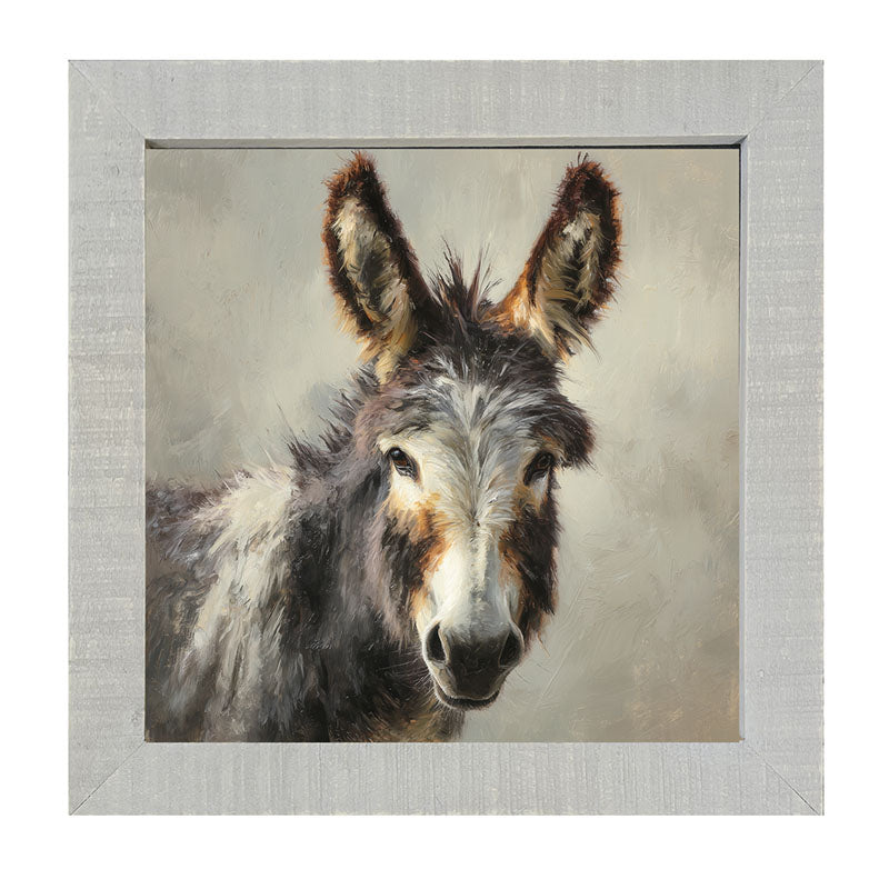 Farm Life Portrait - Donkey Close-up - Framed Art