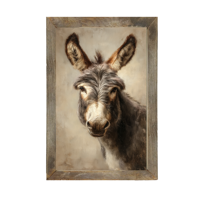 Farm Life Portrait - Donkey