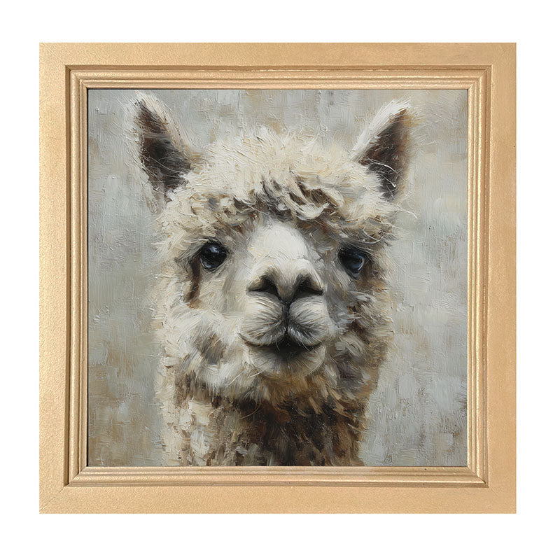 Farm Life Portrait - Alpaca Close-up - Framed Art