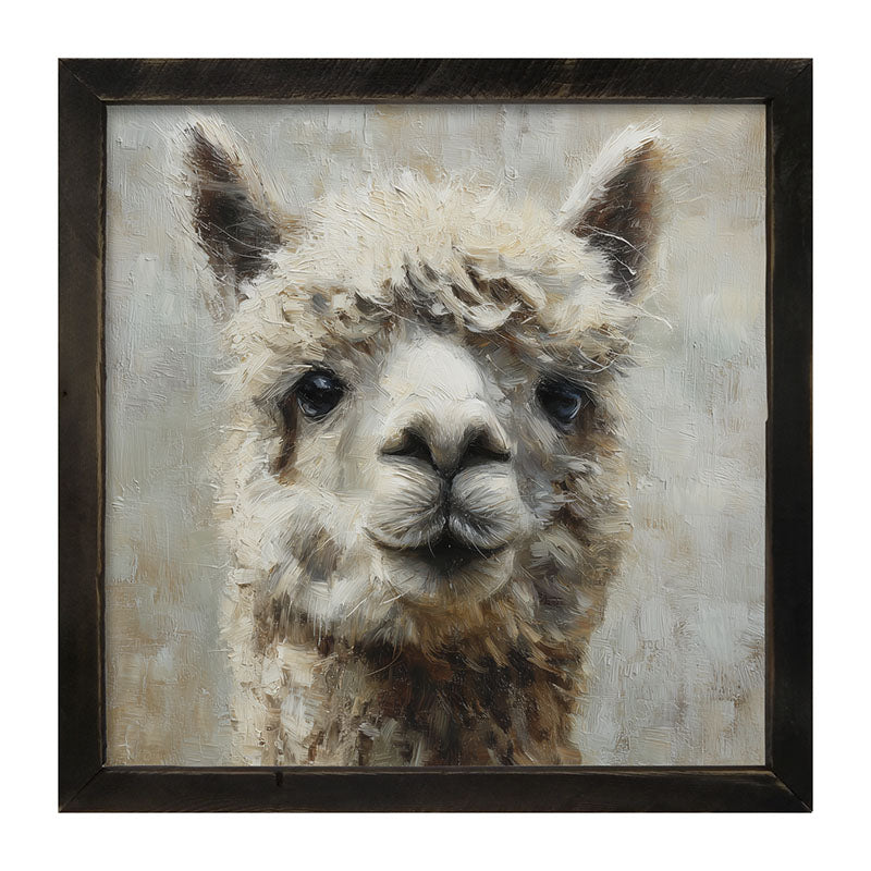Farm Life Portrait - Alpaca Close-up - Framed Art