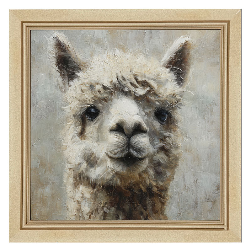 Farm Life Portrait - Alpaca Close-up - Framed Art