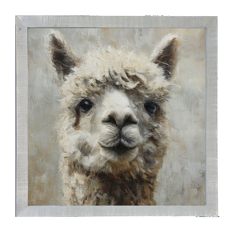 Farm Life Portrait - Alpaca Close-up - Framed Art
