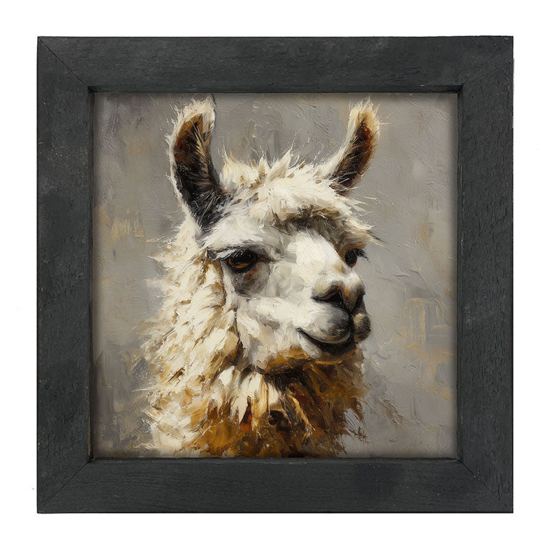Farm Life Portrait - Llama Close-up - Framed Art