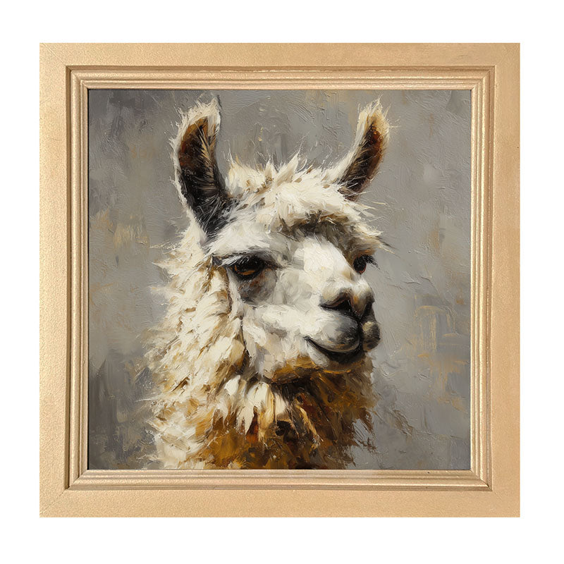 Farm Life Portrait - Llama Close-up - Framed Art