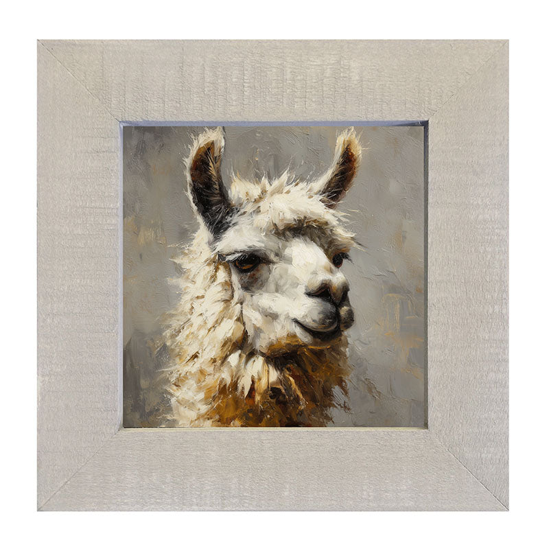 Farm Life Portrait - Llama Close-up - Framed Art