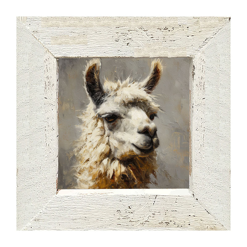 Farm Life Portrait - Llama Close-up - Framed Art