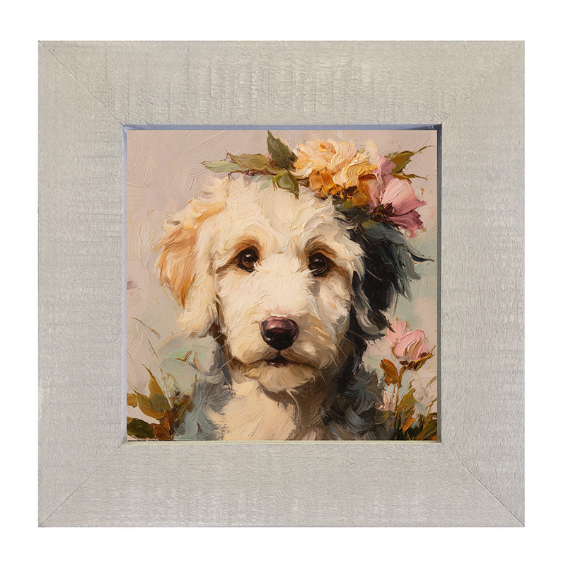 Spring Season White Labradoodle - Framed Art