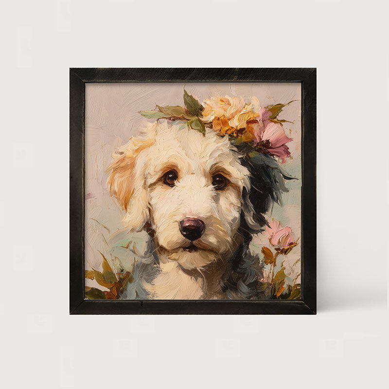 Spring Season White Labradoodle