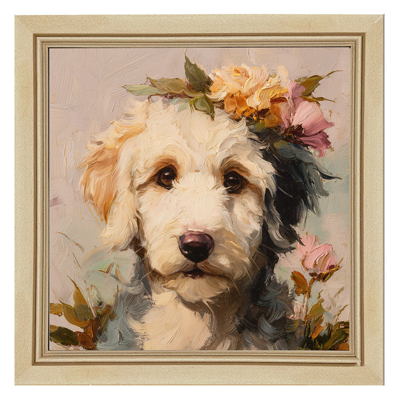 Spring Season White Labradoodle
