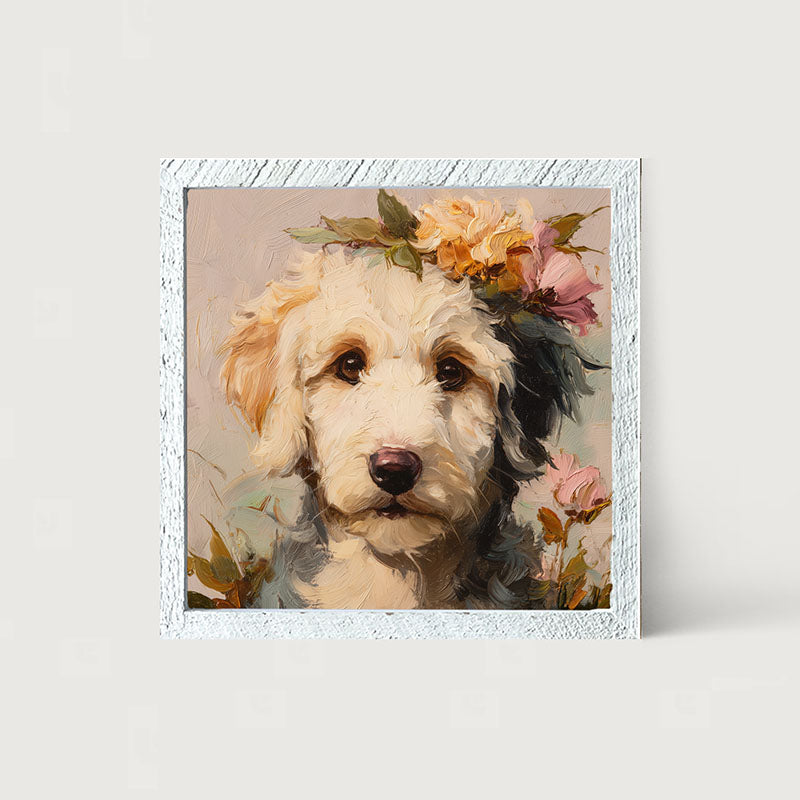 Spring Season White Labradoodle