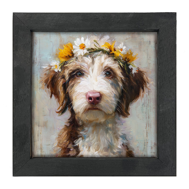 Spring Season Brown and White Labradoodle - Framed Art