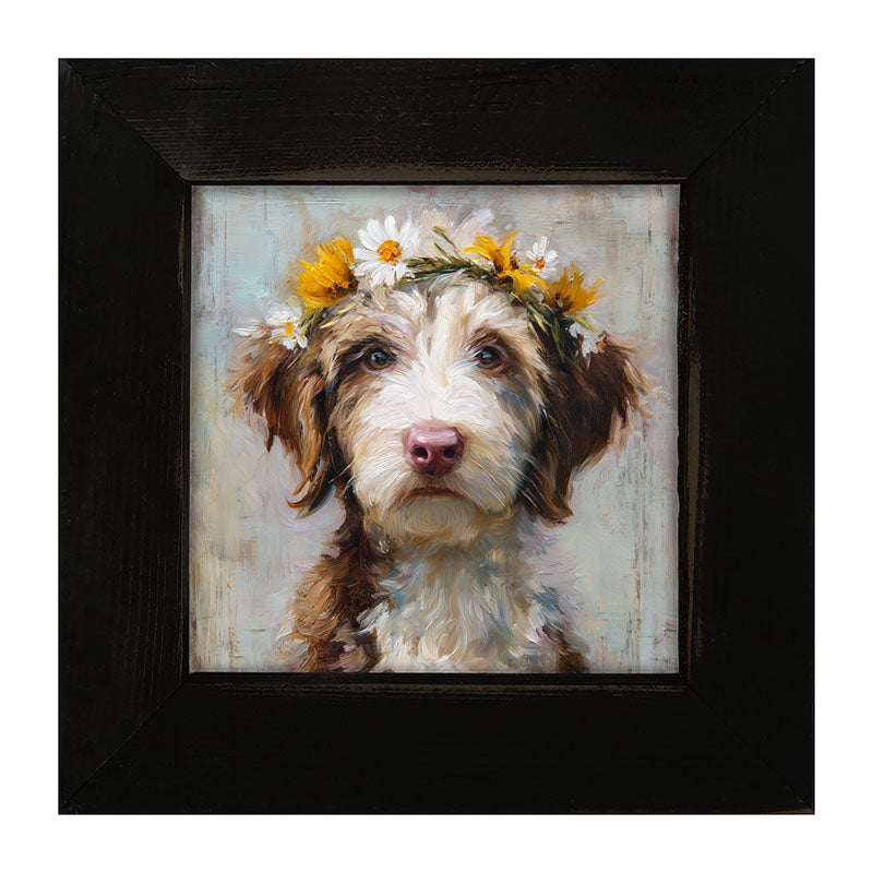 Spring Season Brown and White Labradoodle - Framed Art
