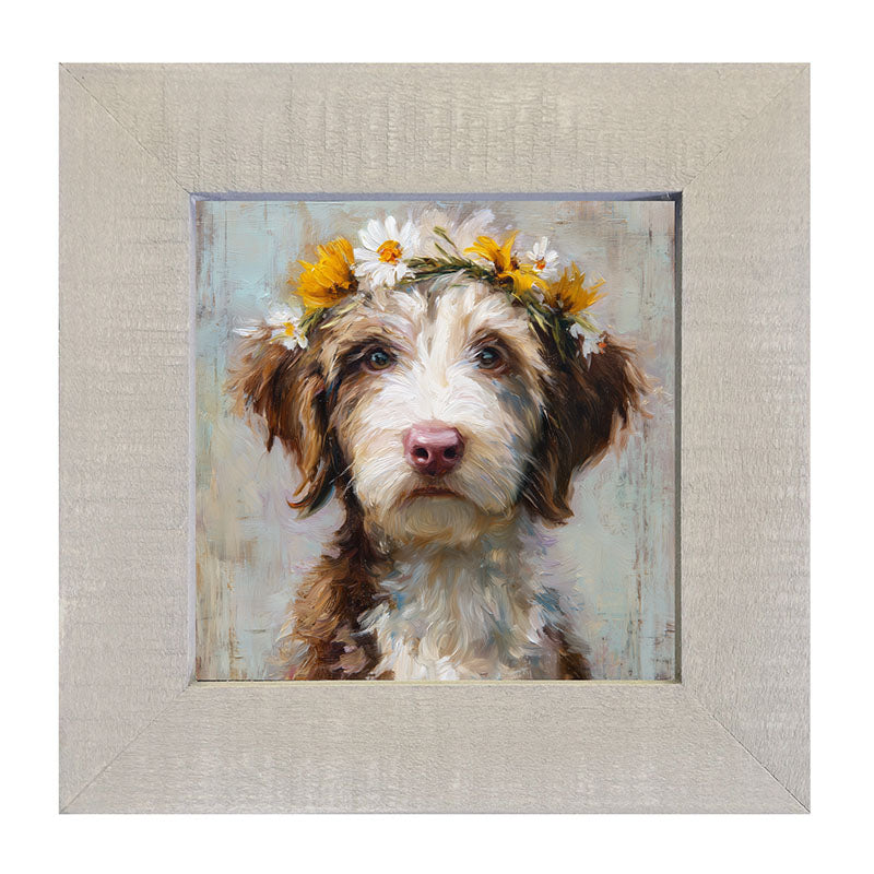 Spring Season Brown and White Labradoodle - Framed Art