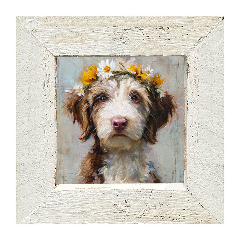 Spring Season Brown and White Labradoodle - Framed Art