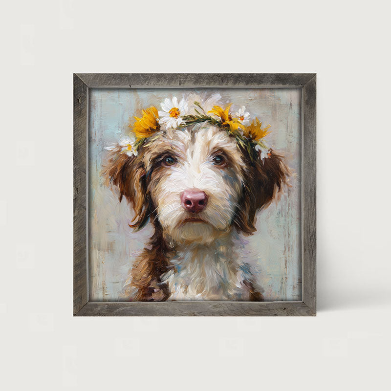 Spring Season Brown and White Labradoodle