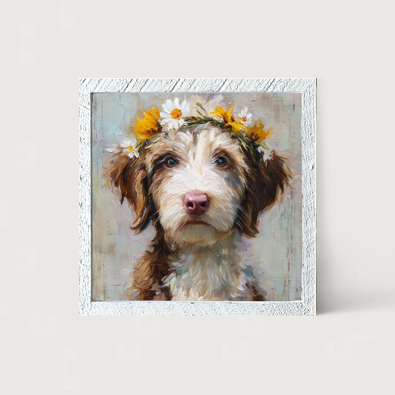 Spring Season Brown and White Labradoodle
