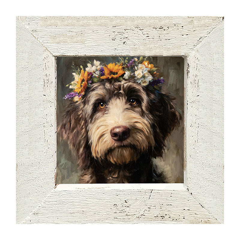 Spring Season Black Labradoodle - Framed Art