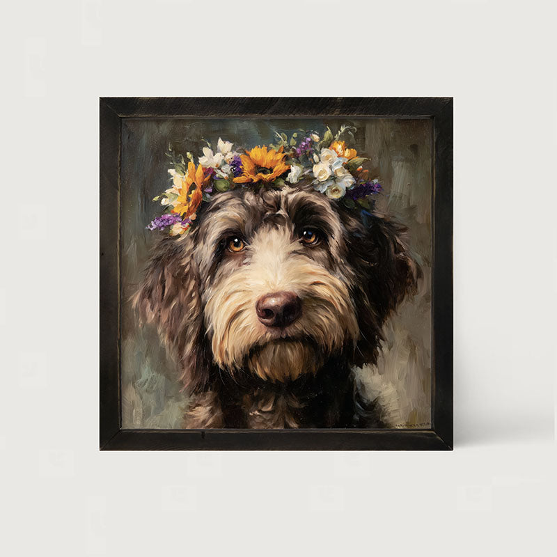 Spring Season Black Labradoodle