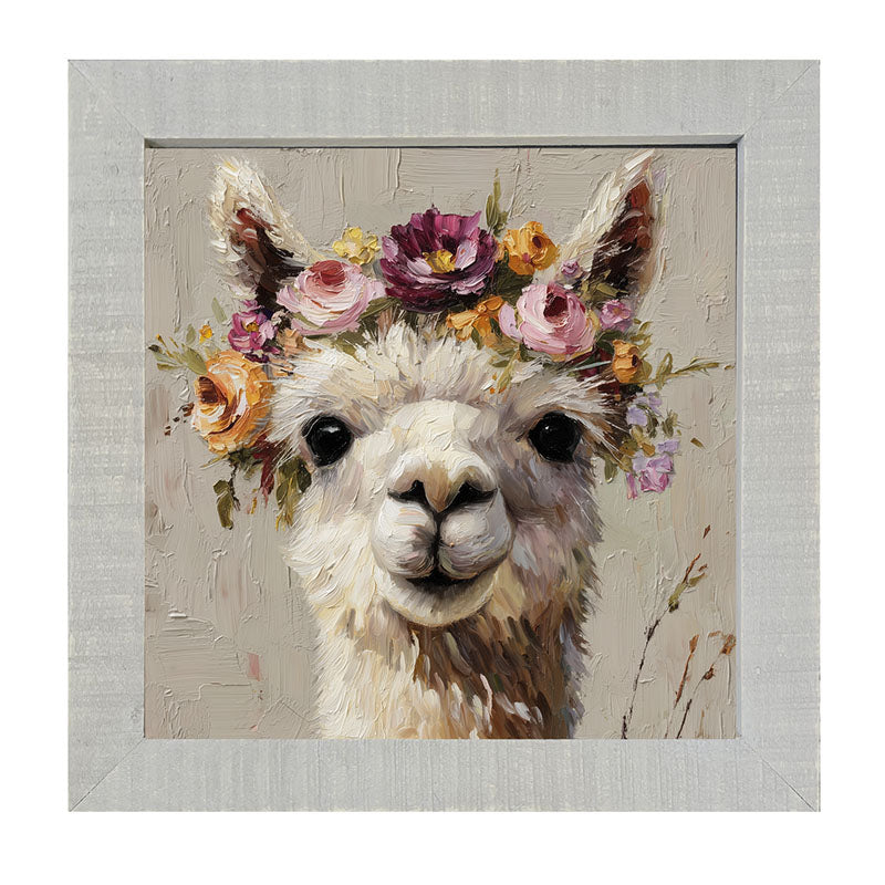 Spring Season Alpaca - Framed Art