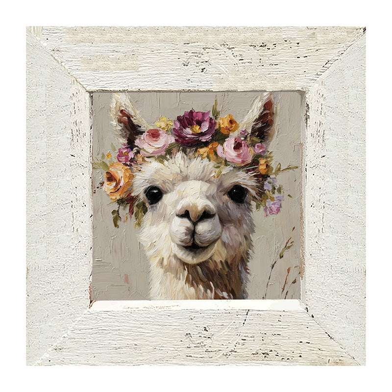 Spring Season Alpaca - Framed Art