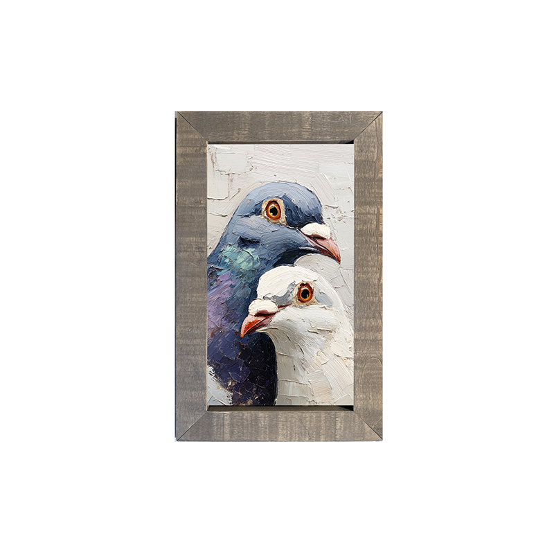 Animal Buddies - Curious Pigeons - Framed Art