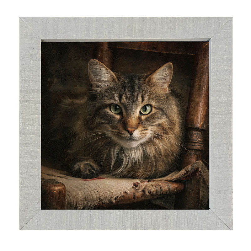 Armchair with Norwegian Forest Cat - Framed Art