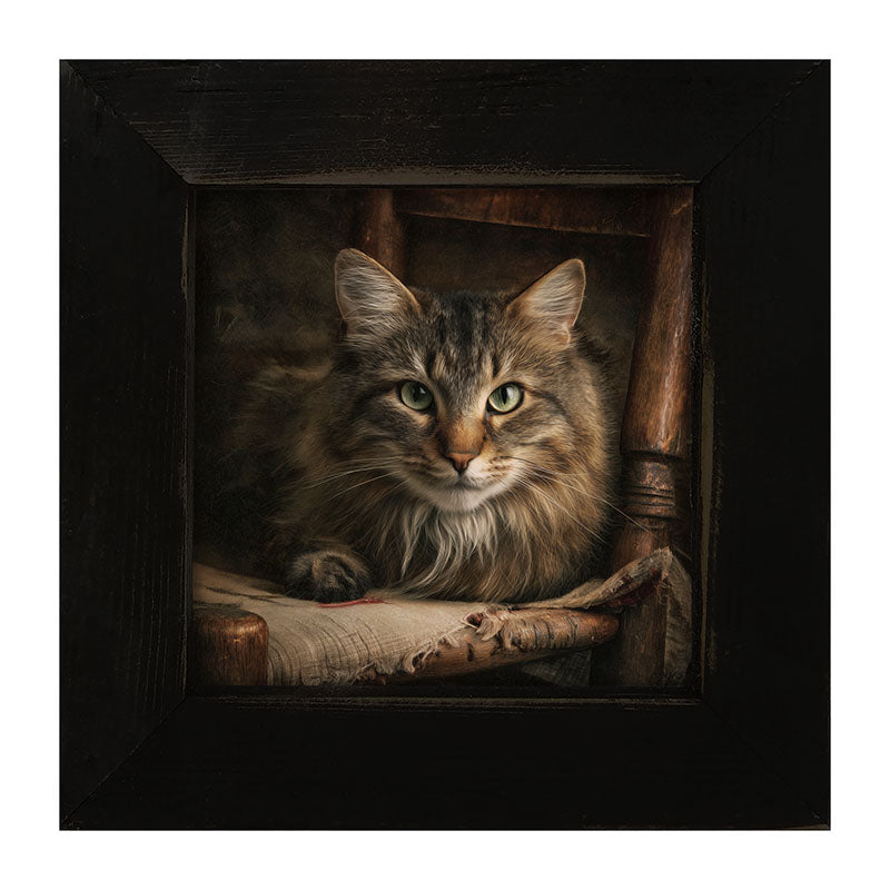 Armchair with Norwegian Forest Cat - Framed Art