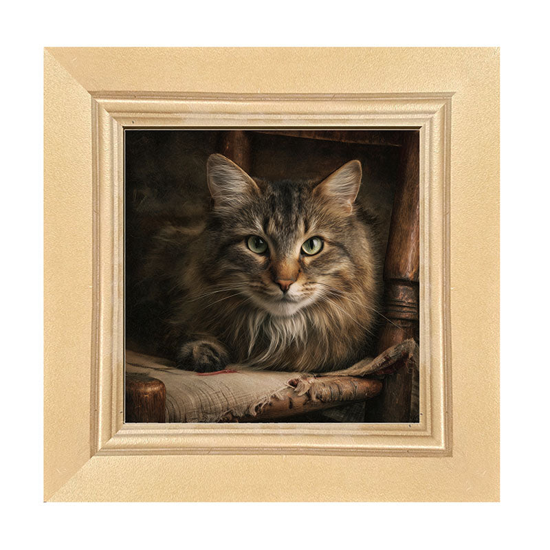 Armchair with Norwegian Forest Cat - Framed Art