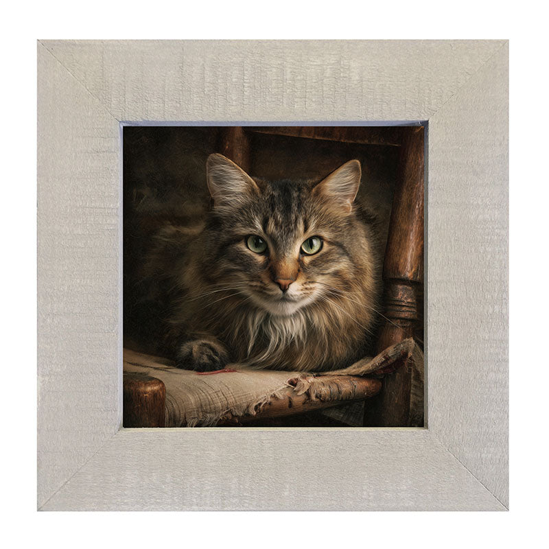 Armchair with Norwegian Forest Cat - Framed Art