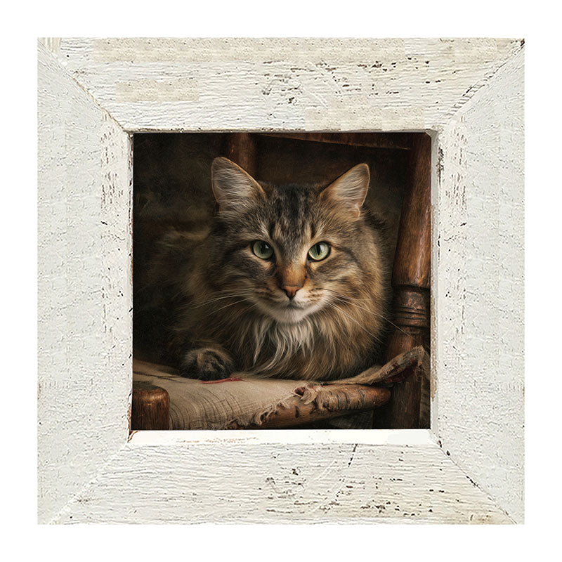 Armchair with Norwegian Forest Cat - Framed Art