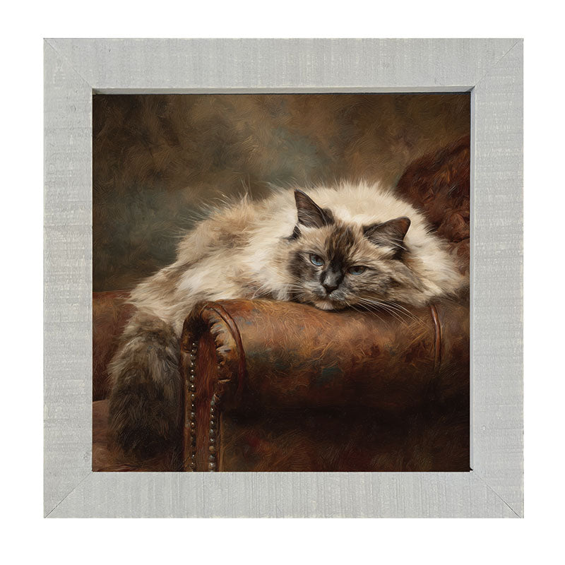 Armchair with Ragdoll Cat - Framed Art