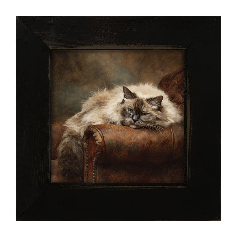 Armchair with Ragdoll Cat - Framed Art