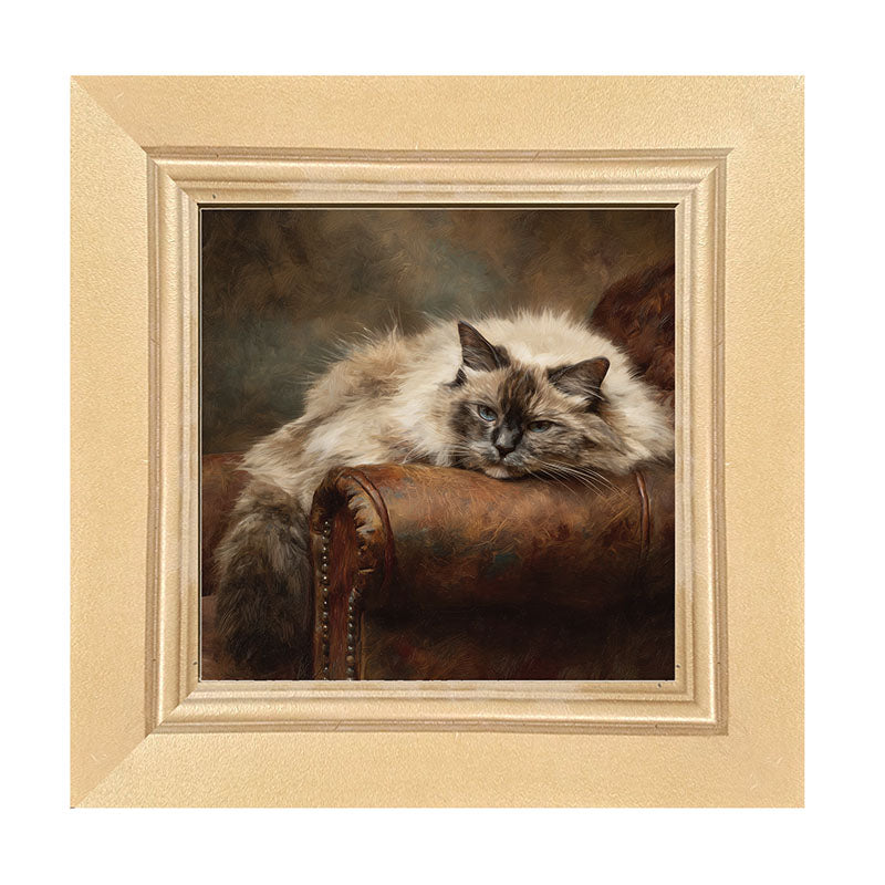 Armchair with Ragdoll Cat - Framed Art