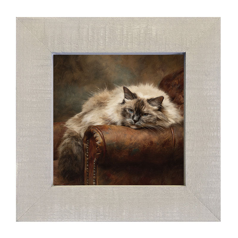 Armchair with Ragdoll Cat - Framed Art