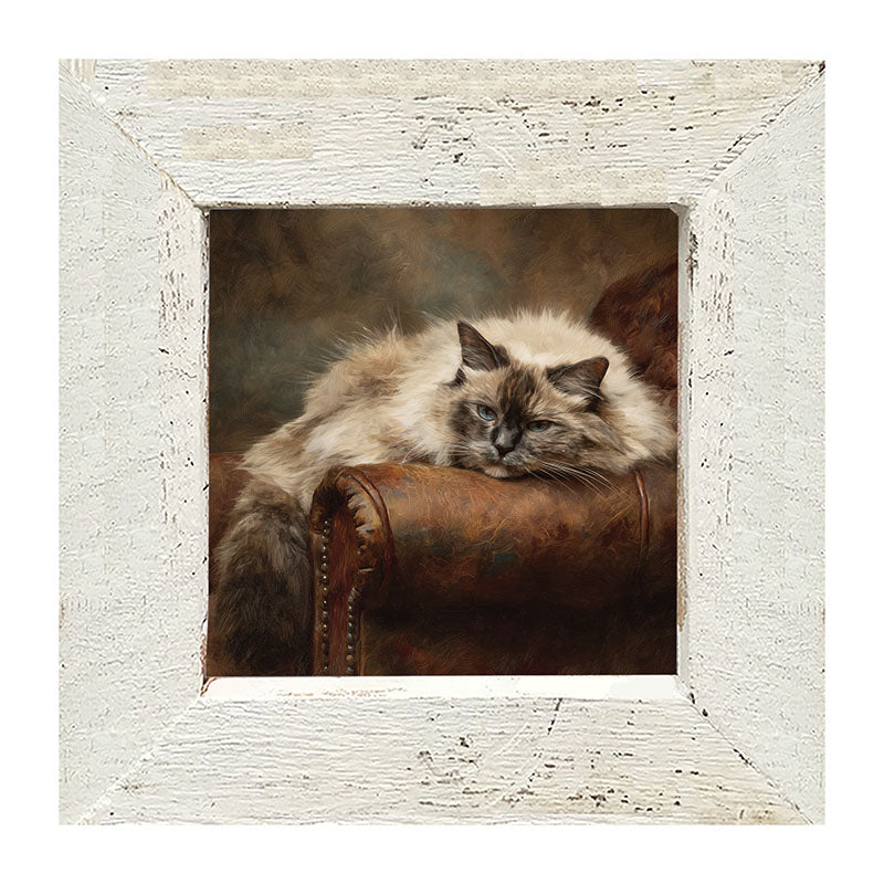 Armchair with Ragdoll Cat - Framed Art
