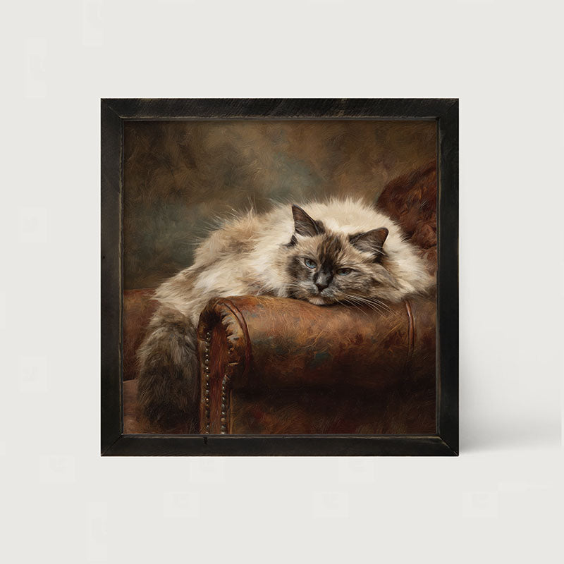 Armchair with Ragdoll Cat