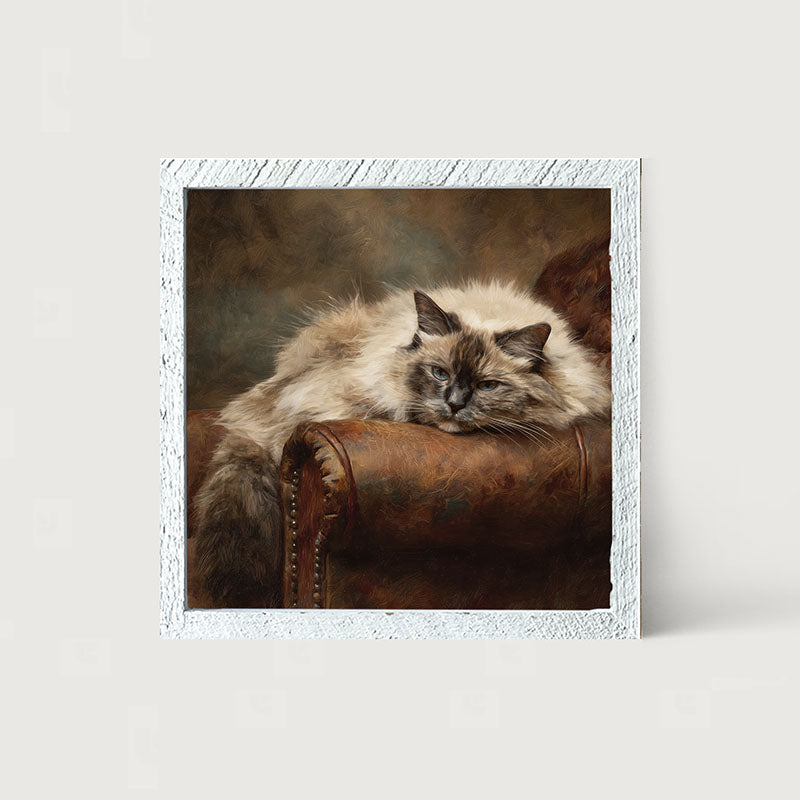 Armchair with Ragdoll Cat