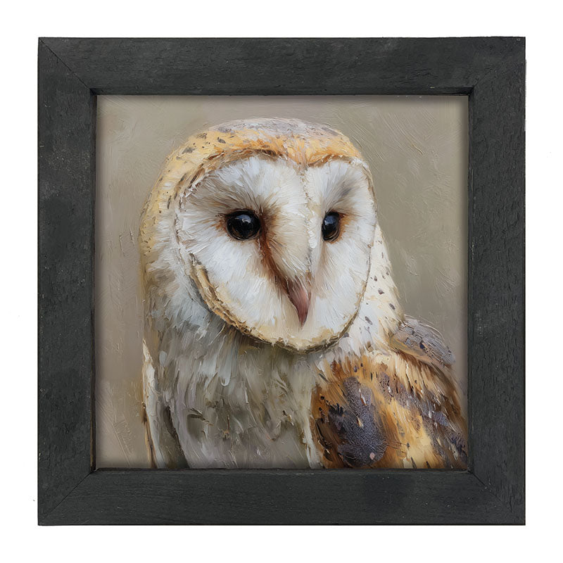Barn Owl Close-up - Framed Art