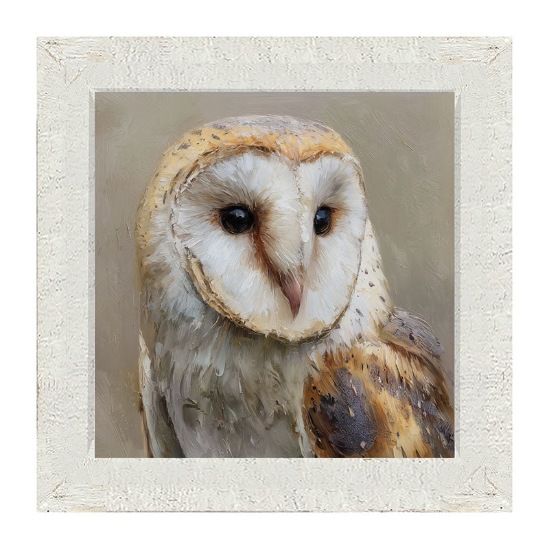 Barn Owl Close-up - Framed Art